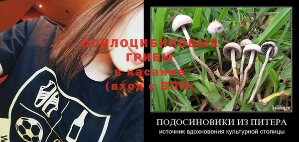 гашик Усмань