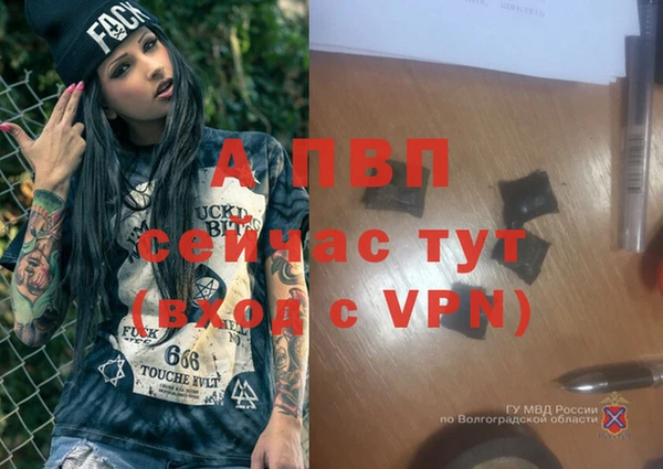 стаф Усолье-Сибирское