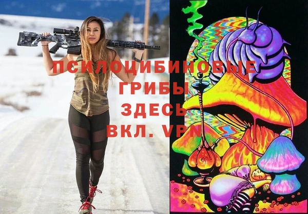 гашик Усмань