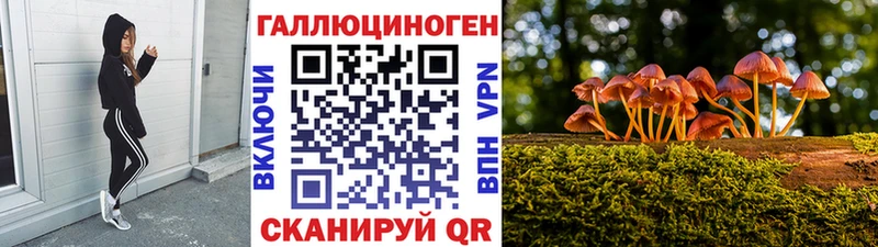 KRAKEN онион  что такое   Шарыпово  Псилоцибиновые грибы прущие грибы 