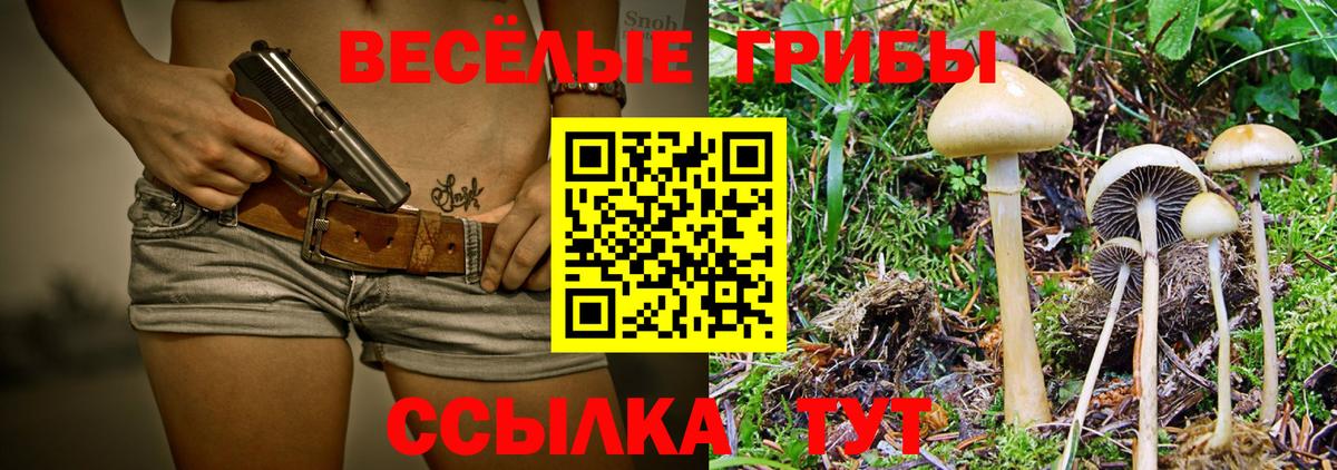 Галлюциногенные грибы мухоморы Шарыпово