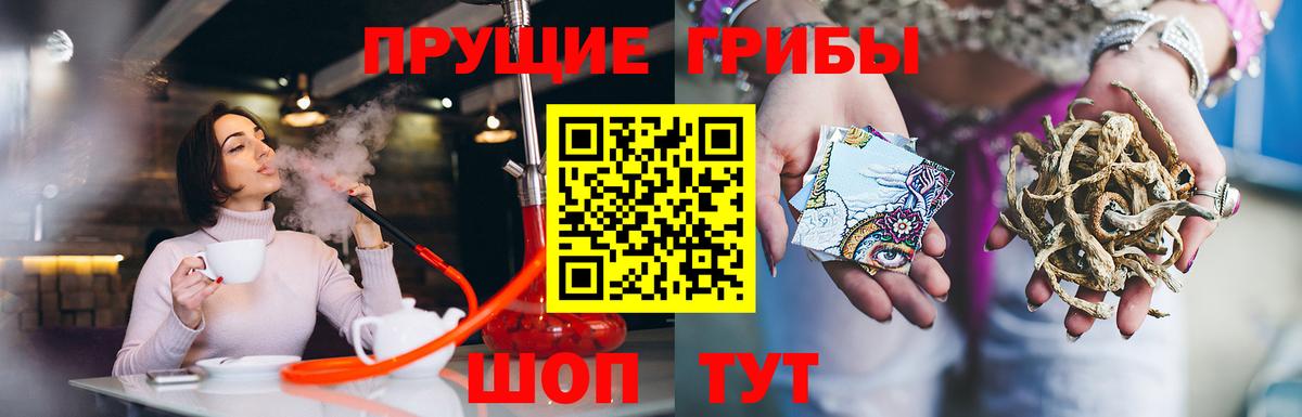 Псилоцибиновые грибы Psilocybine cubensis  Вход с VPN  Шарыпово  Галлюциногенные грибы Psilocybine cubensis 
